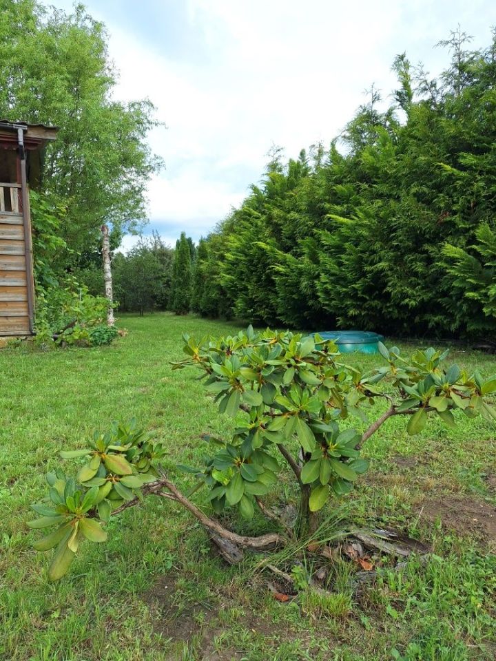 Działka rod Zielona Góra Jędrzychów, ul. Zbożowa. Zdjęcie 7