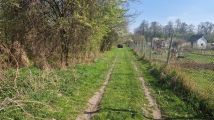 Działka rod Wrocław Psie Pole. Zdjęcie 4