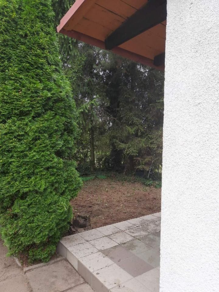 Działka rod Poznań Strzeszyn, ul. Lutycka. Zdjęcie 7