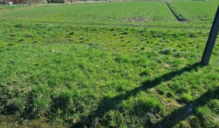 Działka budowlana Zabierzów Bocheński