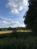 Działka inwestycyjna Wyszków Rybienko Leśne. Zdjęcie 3