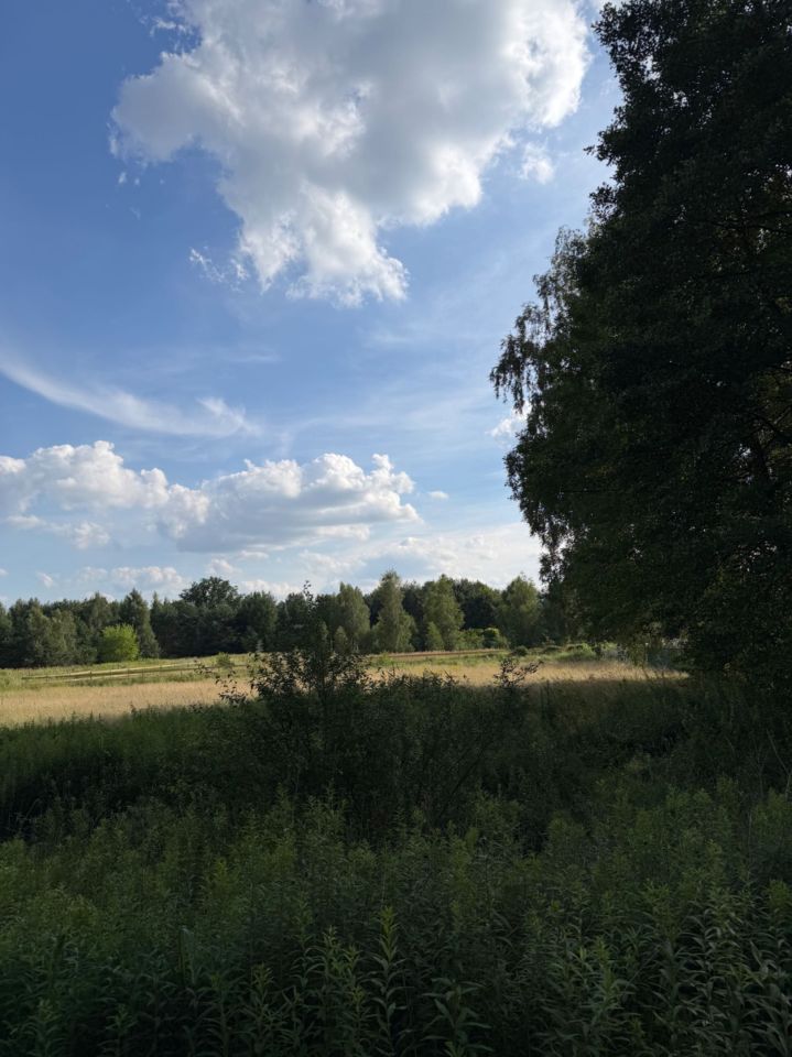 Działka inwestycyjna Wyszków Rybienko Leśne. Zdjęcie 4