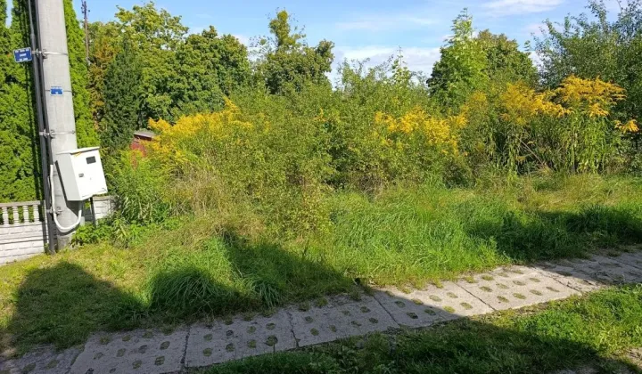 Działka budowlana Owidz, ul. Podgórna