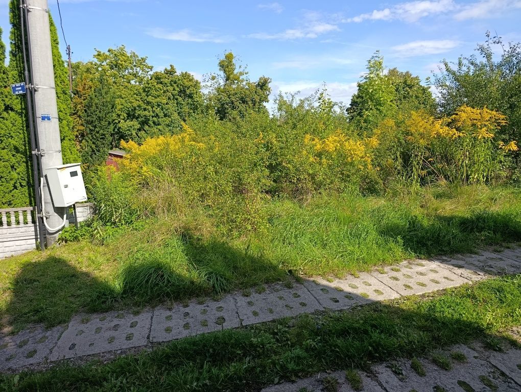 Działka na sprzedaż bez pośredników
ul. Podgórna
Owidz