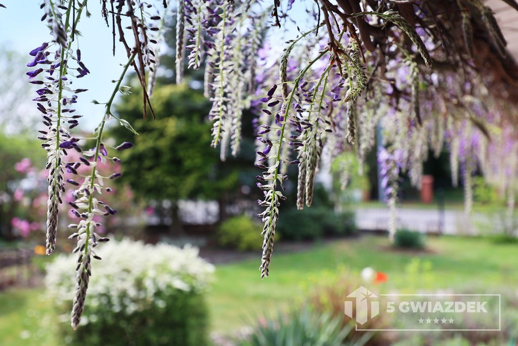 dom wolnostojący, 5 pokoi Szczecinek, ul. Cypriana Kamila Norwida. Zdjęcie 44