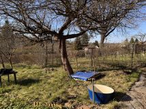 Działka rod Olsztyn. Zdjęcie 3