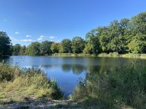 Działka rolna Brodno. Zdjęcie 2