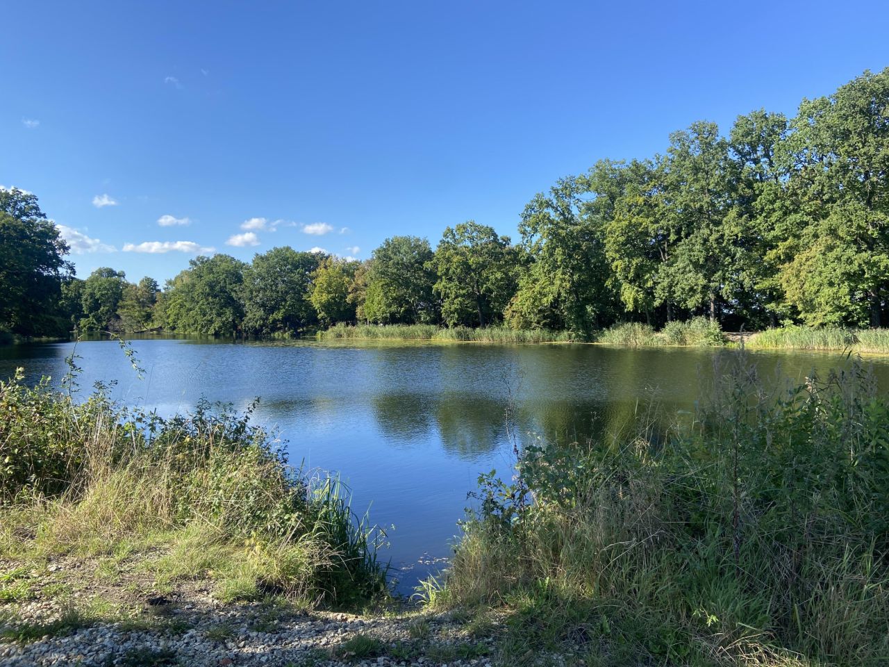 Działka rolna Brodno. Zdjęcie 3