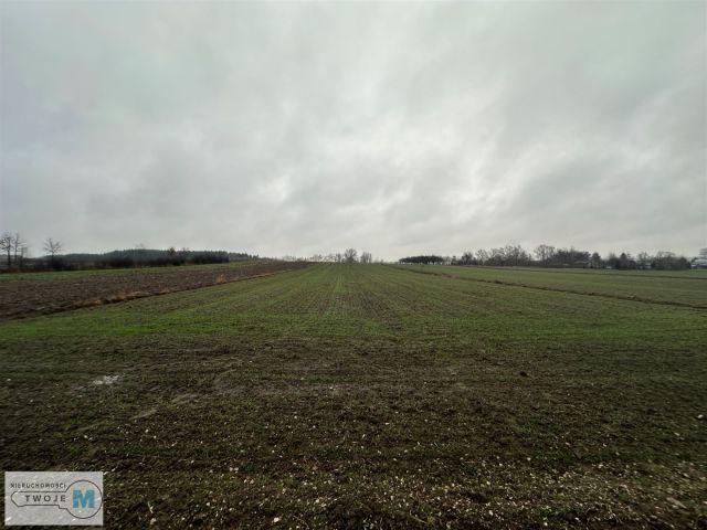 Działka Śladków Duży. Zdjęcie 5