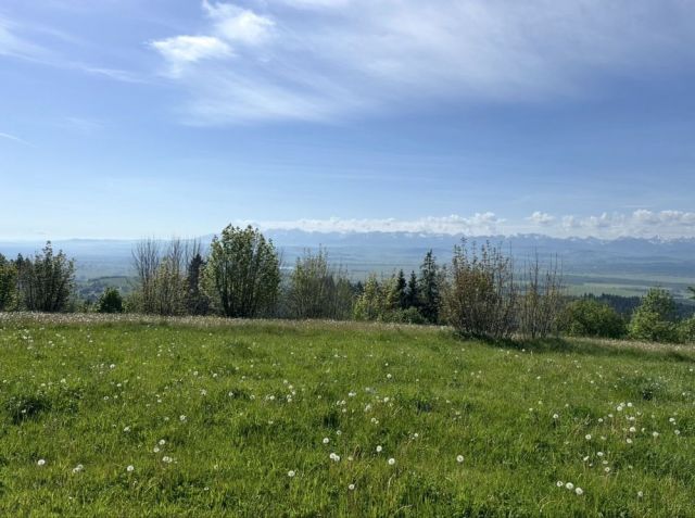 Działka rolna Bukowina-Osiedle. Zdjęcie 1