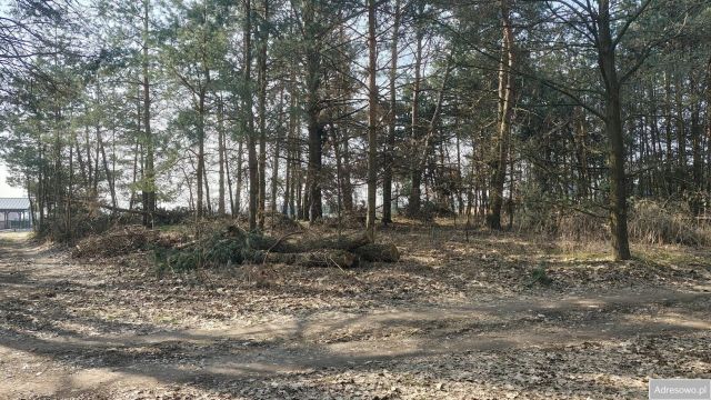 Działka siedliskowa Pogórska Wola. Zdjęcie 1