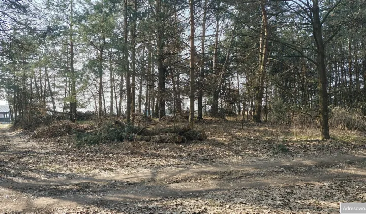 Działka siedliskowa Pogórska Wola