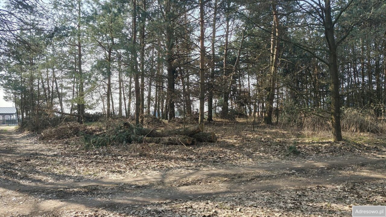 Działka siedliskowa Pogórska Wola. Zdjęcie 1