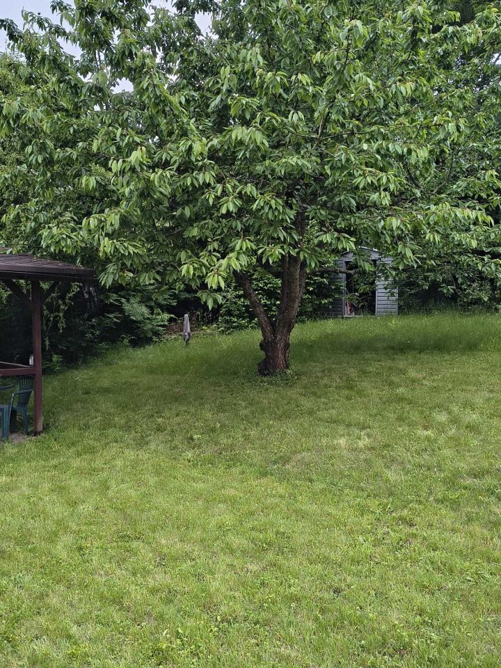 Działka rod Grudziądz, ul. Kwidzyńska. Zdjęcie 3