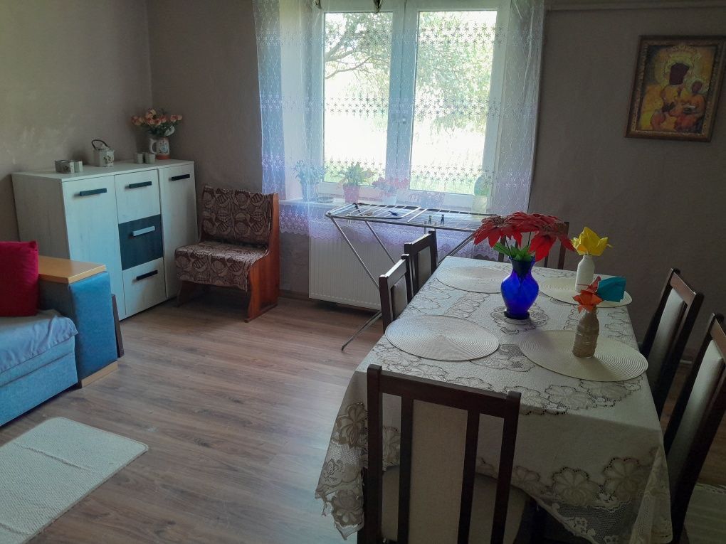 dom wolnostojący, 2 pokoje Pustki Działyńskie. Zdjęcie 3