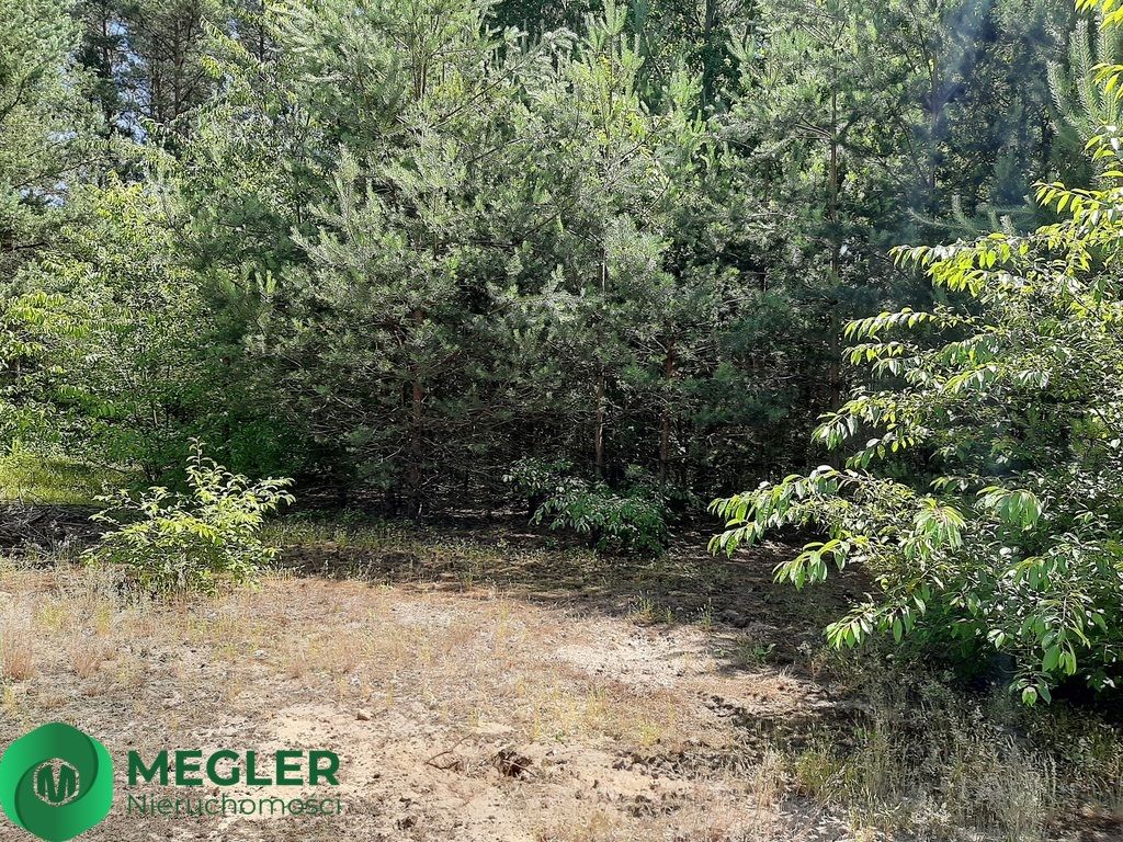 Działka budowlana Musuły. Zdjęcie 6