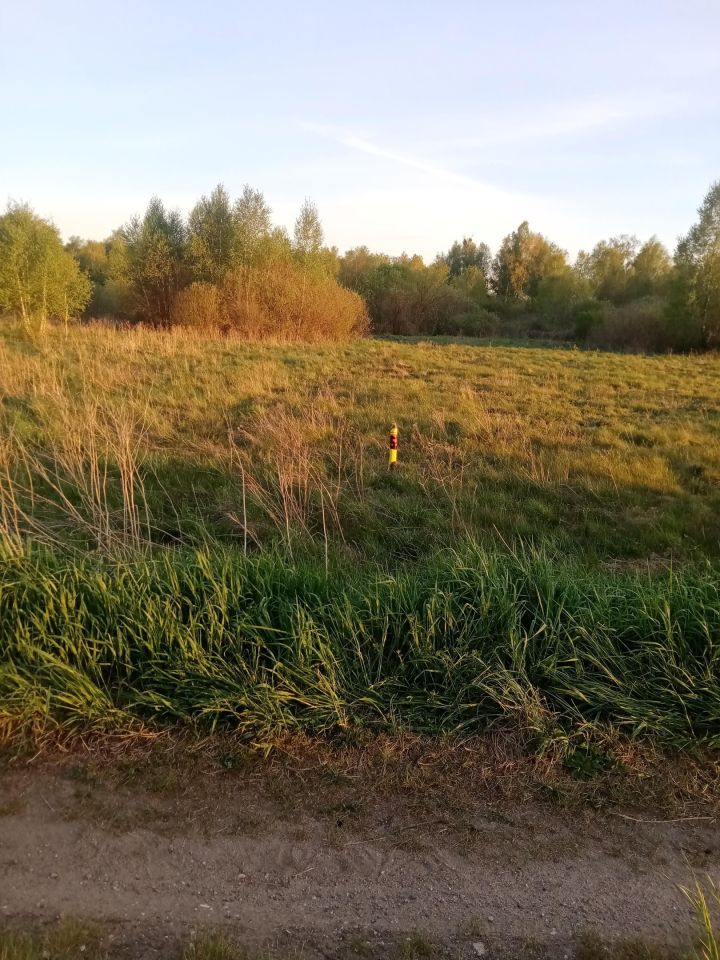 Działka budowlana Ploski. Zdjęcie 12