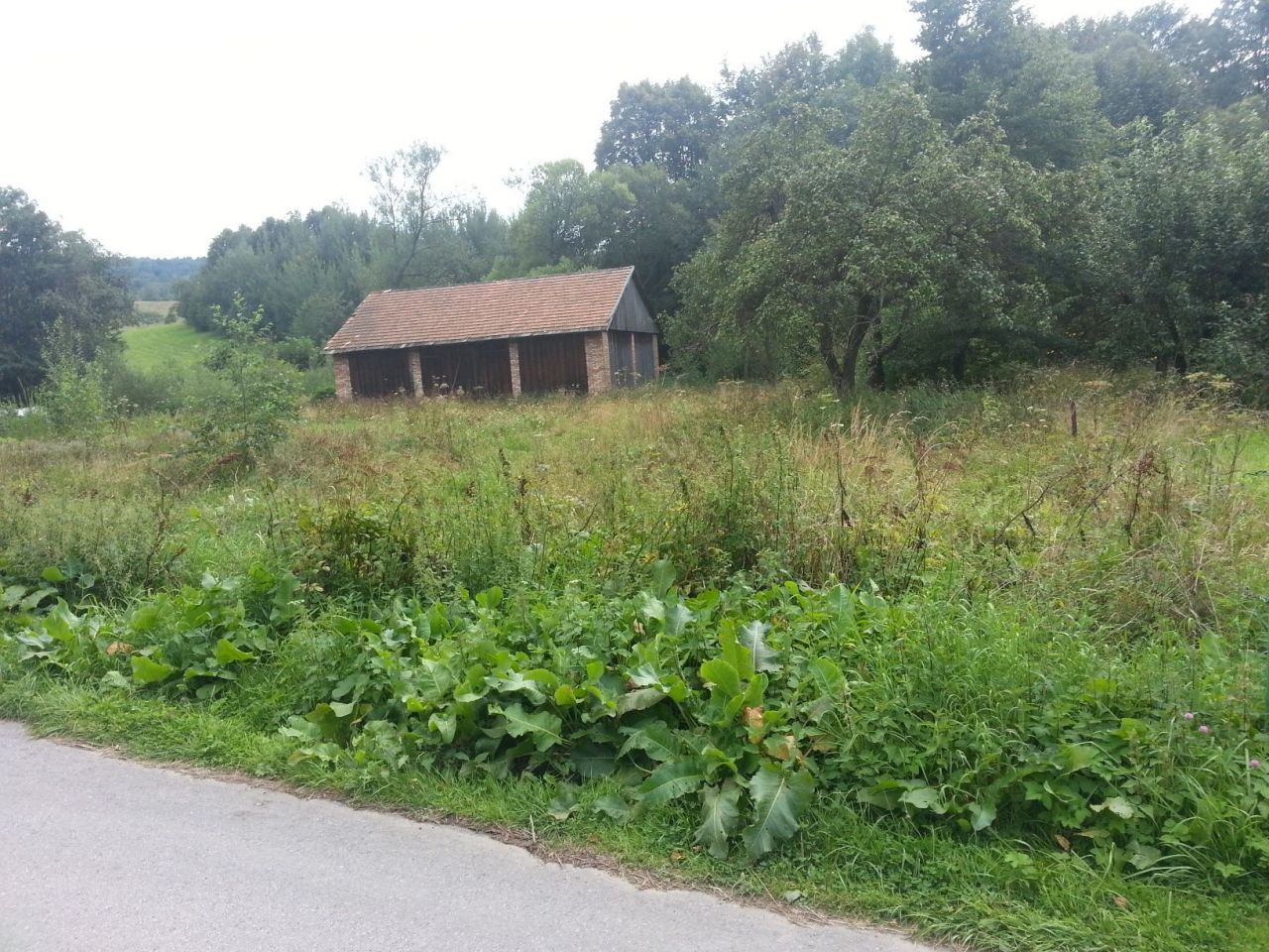 Działka rolno-budowlana Wapienne. Zdjęcie 2