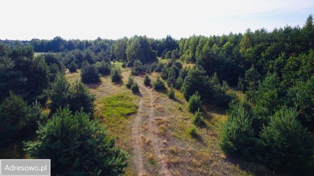 Działka inwestycyjna Nowy Kębłów. Zdjęcie 1