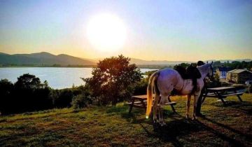 dom, 4 pokoje Sosnówka