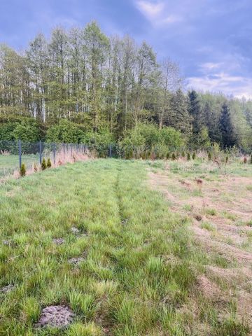 Działka budowlana Kępy Lubczyńskie. Zdjęcie 1