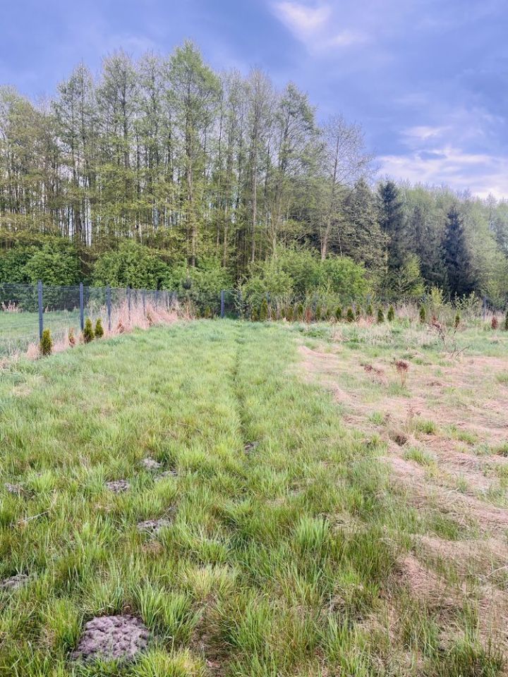 Działka budowlana Kępy Lubczyńskie