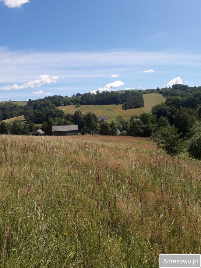 gospodarstwo Leszczawka. Zdjęcie 4