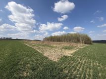 Działka budowlana Kruków, ul. Tarnawska. Zdjęcie 2