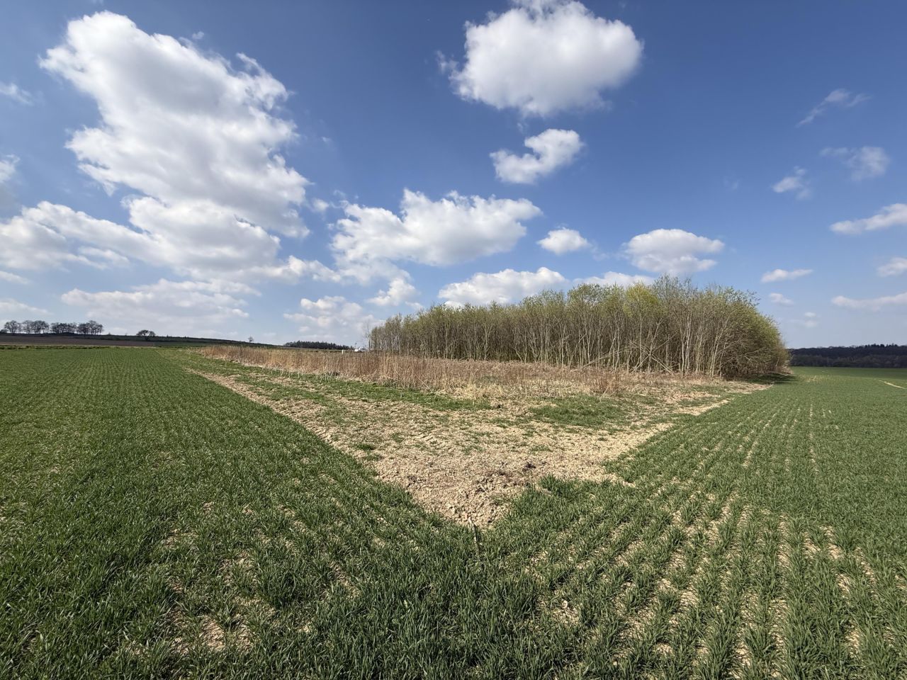 Działka budowlana Kruków, ul. Tarnawska. Zdjęcie 3