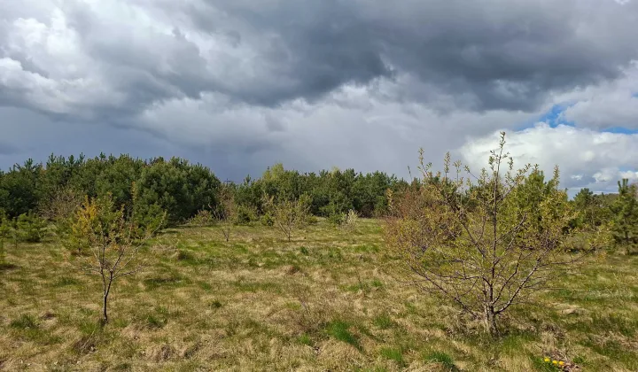 Działka inwestycyjna Rybczyzna