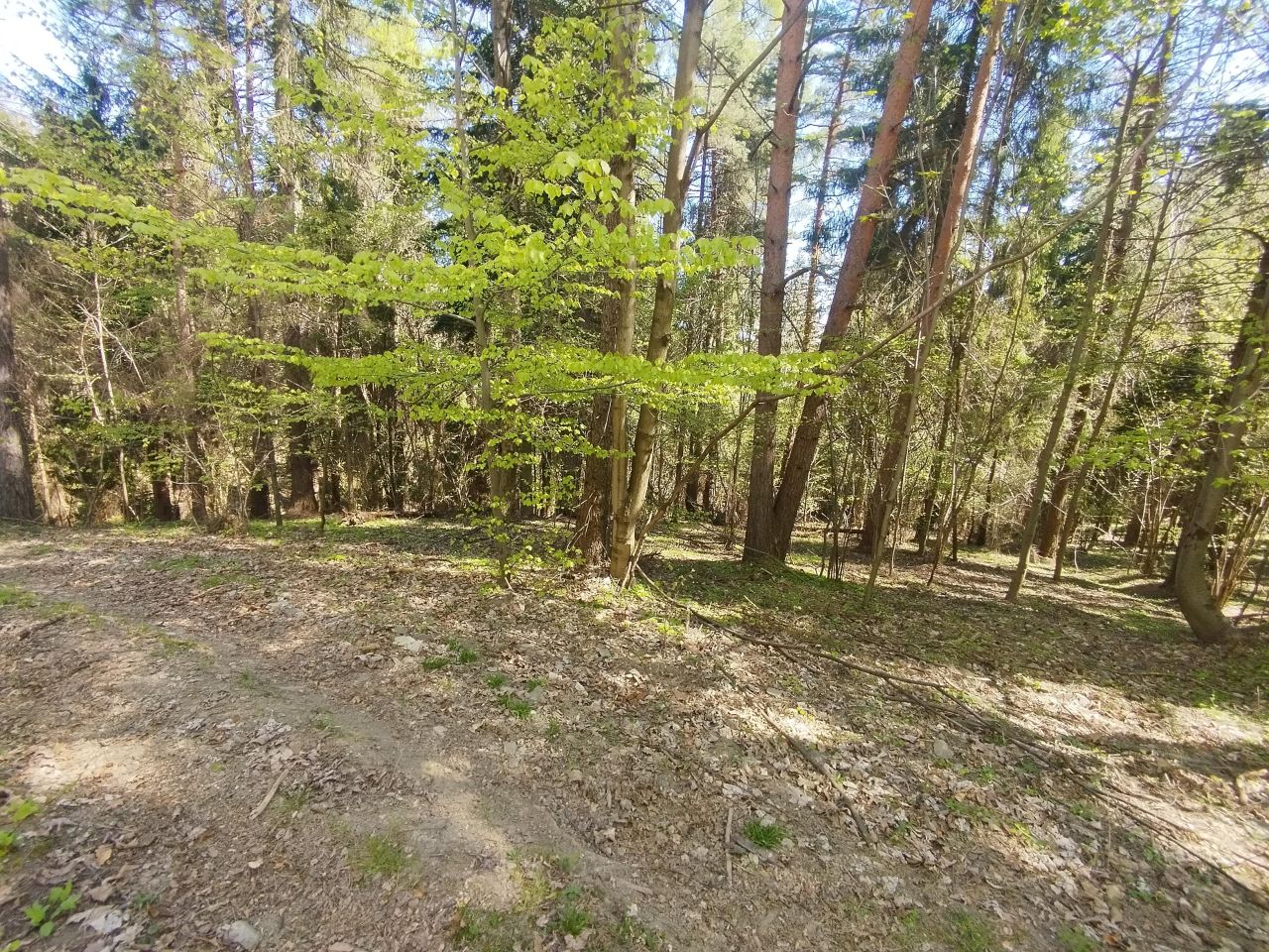 Działka leśna Sucha Beskidzka Błądzonka, ul. Błądzonka. Zdjęcie 9