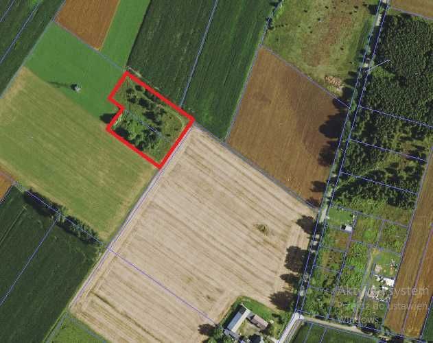 Działka siedliskowa Okopy. Zdjęcie 2