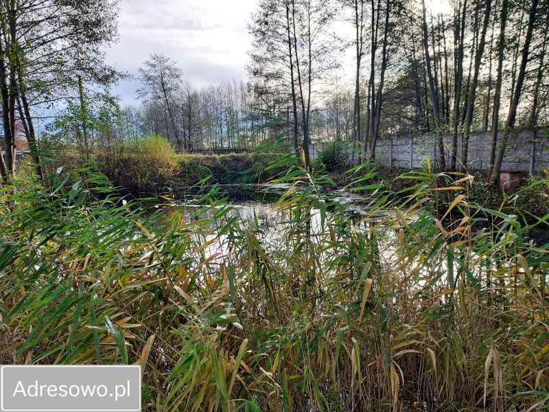 Hala/magazyn Deszczno, ul. Krupczyńska. Zdjęcie 11
