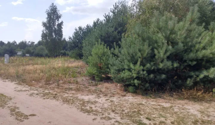 Działka rekreacyjna Mielinek