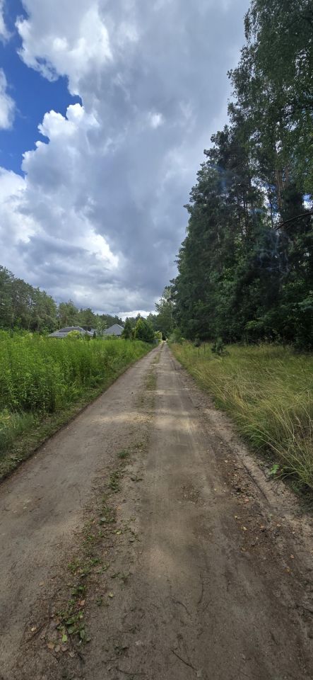 Działka budowlana Lisy. Zdjęcie 6