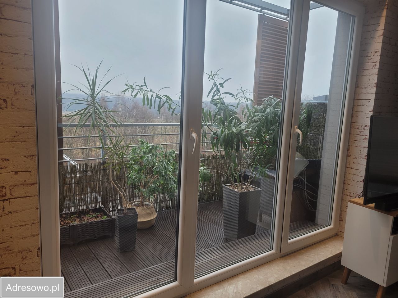 Mieszkanie 3-pokojowe Katowice Muchowiec, ul. Francuska. Zdjęcie 13