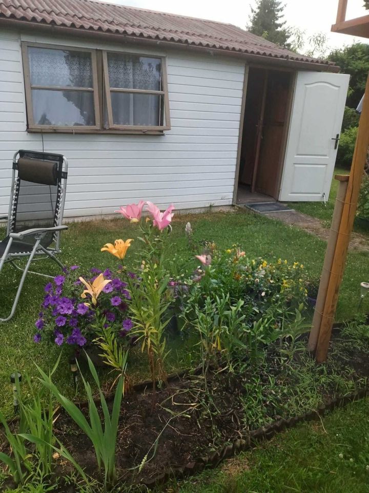 Działka rod Kajetany. Zdjęcie 4