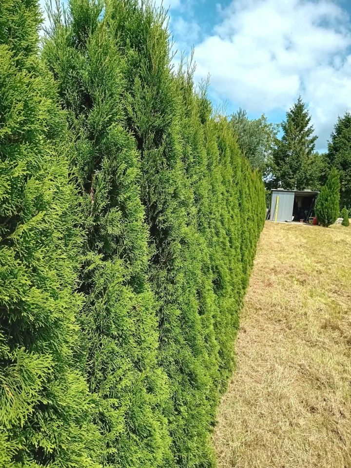 Działka budowlana Góra, ul. Poznańska. Zdjęcie 5