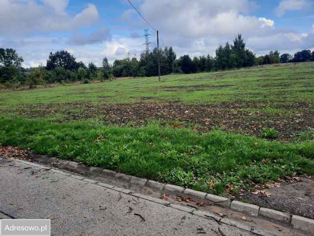 Działka rolno-budowlana Wierzbięcin. Zdjęcie 1