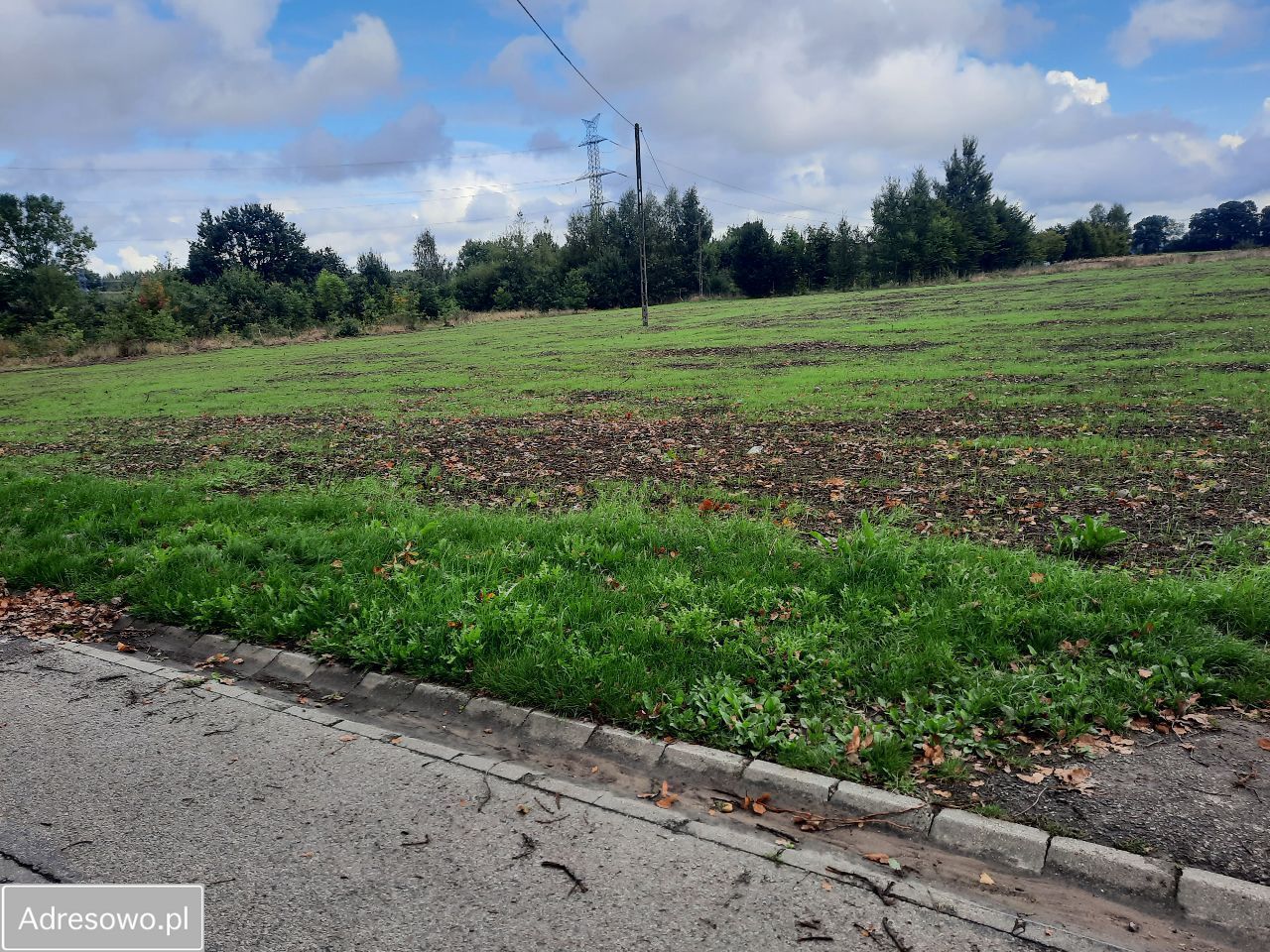 Działka rolno-budowlana Wierzbięcin. Zdjęcie 1