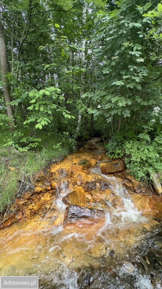 Działka budowlana Wieściszowice. Zdjęcie 7
