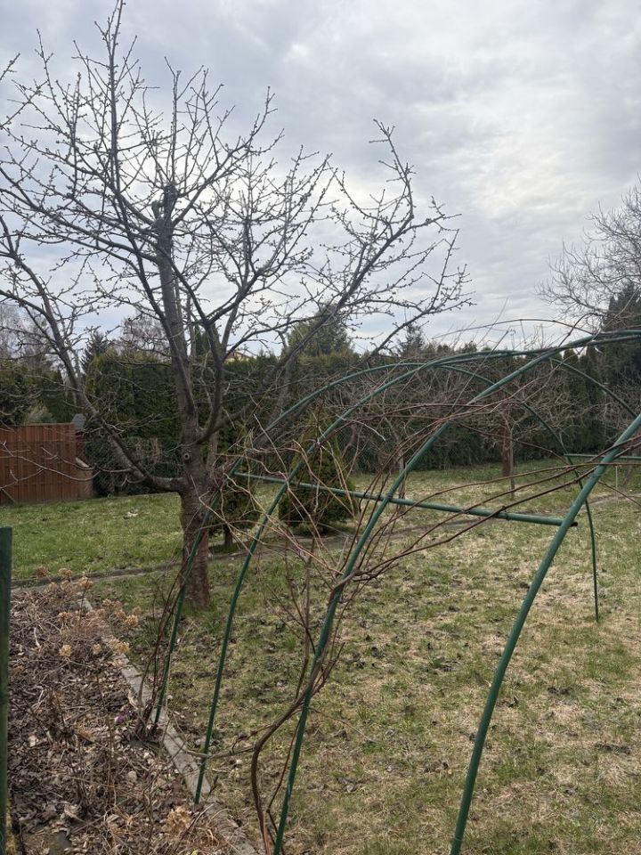 Działka rod Olsztyn. Zdjęcie 3