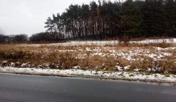 Działka budowlana Skoki, ul. Rakojedzka