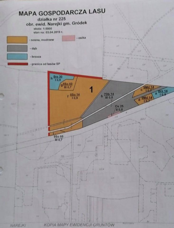 Działka leśna Narejki. Zdjęcie 2