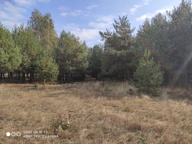 Działka rolno-budowlana Węgliska. Zdjęcie 1