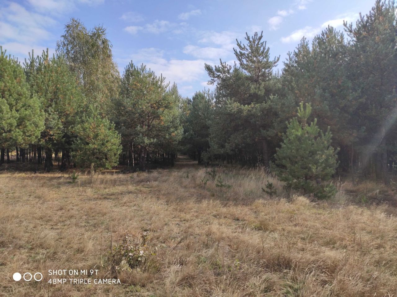 Działka rolno-budowlana Węgliska