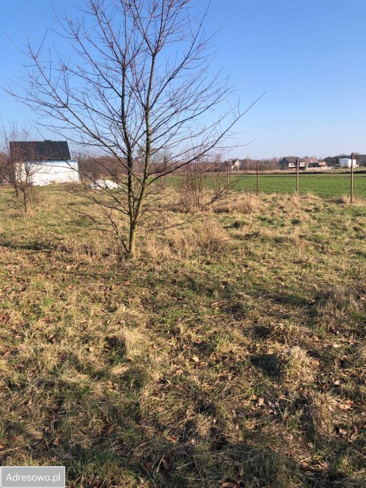 Działka rolno-budowlana Gąsocin, ul. Nasielska. Zdjęcie 9