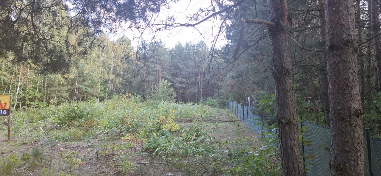 Działka rolno-budowlana Andzin. Zdjęcie 3