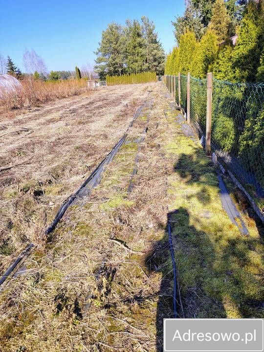 Działka rod Białystok. Zdjęcie 2