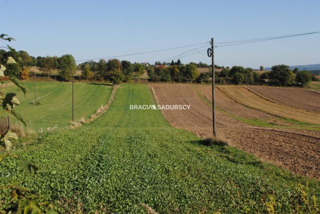 Działka rolno-budowlana Brzezie. Zdjęcie 3